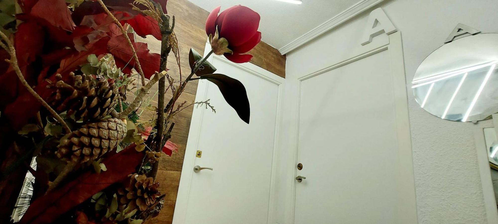 Modern Apartment In Alacant 60M² Wheelchair Accessible Alicante Exteriör bild
